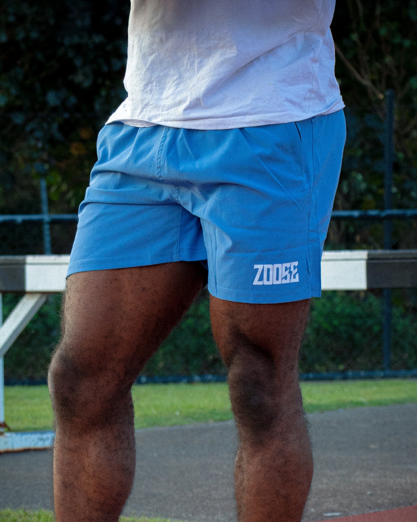 Signature Series (Blue)